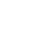 icons8-flight-insurance-50