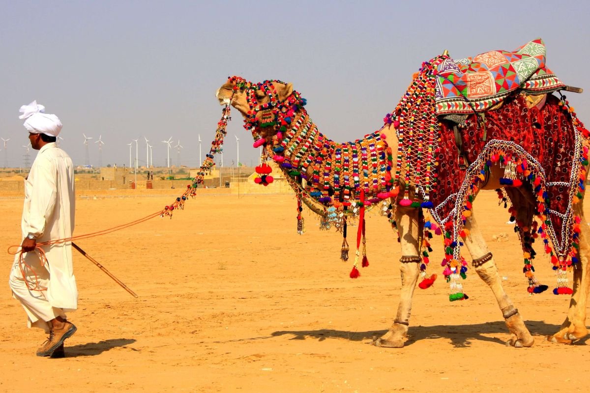 Camel Safari in Sam Sand Dunes